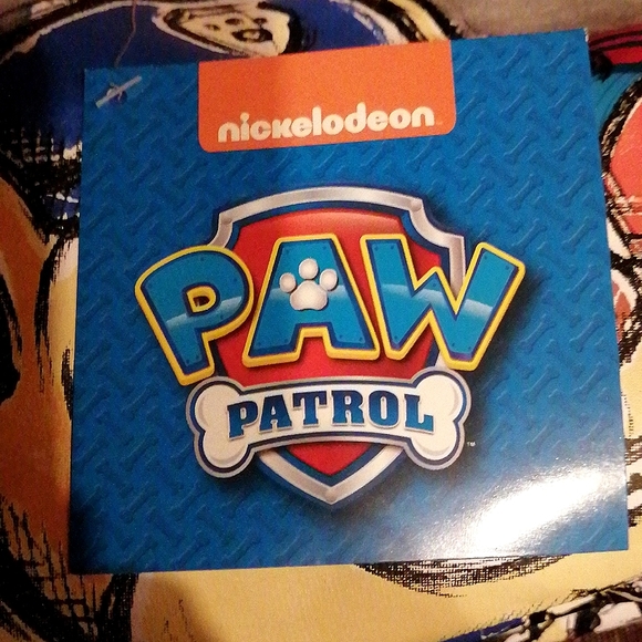 Paw Patrol Skye Rubble Everest Boy's 2 Pc Pajamas Pajama Set NWT Sizes Small (6) - Picture 9 of 9